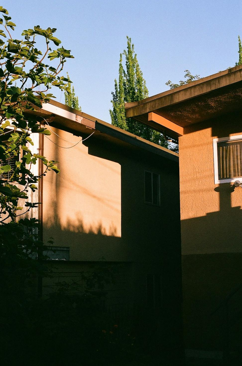 Etobicoke Family Home