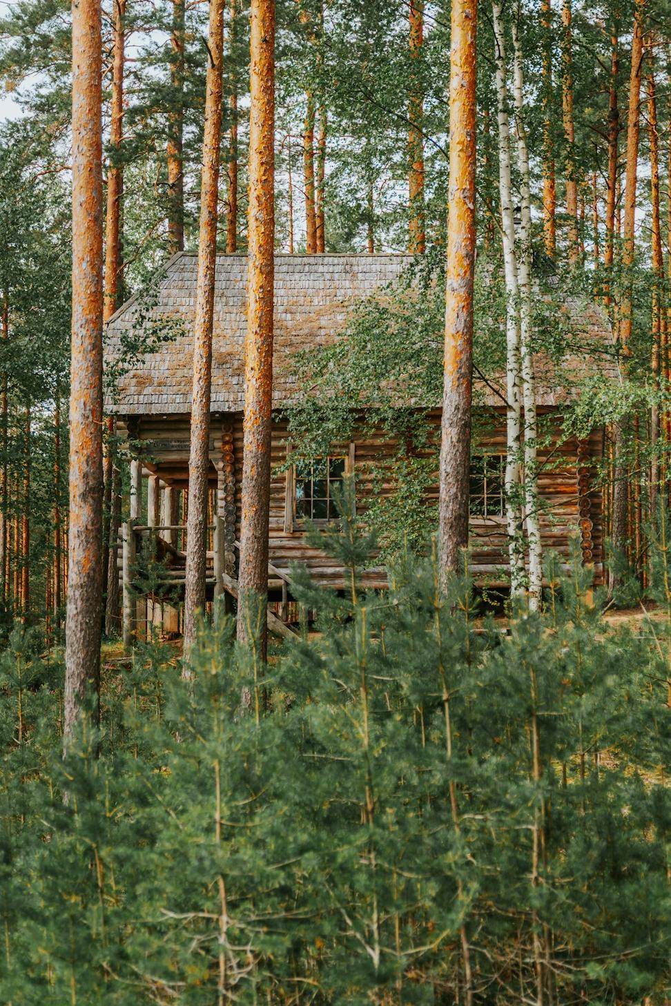 Muskoka Retreat